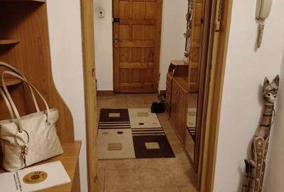 Apartament 3 camere situat in centrul orasului Targu Jiu, pe pietonala - 2