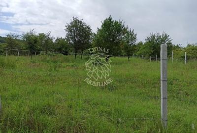 Teren agricol extravilan de 1000 mp, în Nord - 2