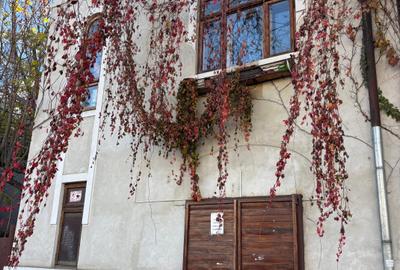 Casă cu 1 camere cu Teren 40 Mp în Ultracentral - 13