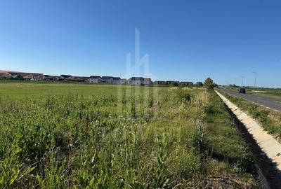 Teren 2500mp Sura Mica - Ocna Sibiului | 162.500 EUR - EXCLUSIVITATE - 1