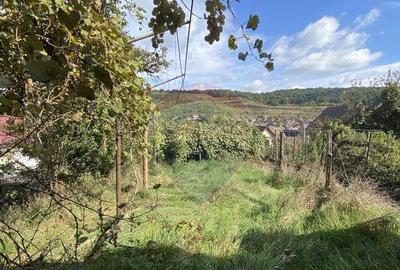 Casa cartier Mosnei - 3