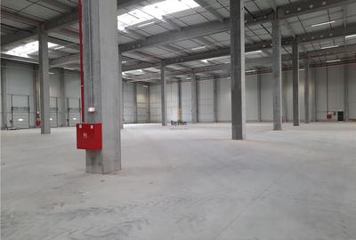 Spațiu industrial, 2300 mp în Ștefăneștii de Jos