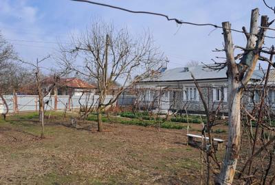 Casă cu 4 camere în Central - 2