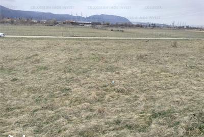 Teren de 5500 mp, în Central - 5