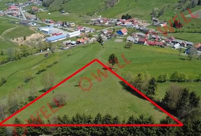 Teren extravilan de 8157 mp, în Sita Buzăului - 3