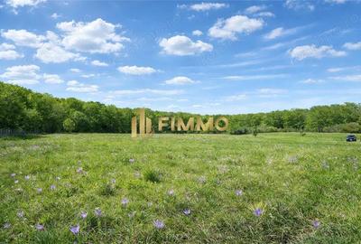 Teren de 2100 mp, în Dragomirna - 1