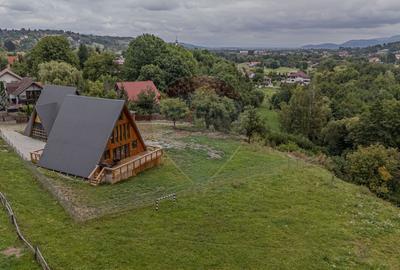 COMISION 0%| DE VANZARE| 2 CABANE TIP A FRAME| TEREN 2166 MP| - 9