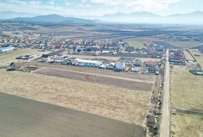 Teren Extravilan, P.U.Z. inceput - 14