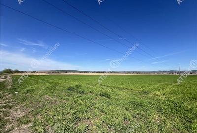 Teren intravilan de 16130 mp situat in Sibiu zona Calea Surii Mici - 1