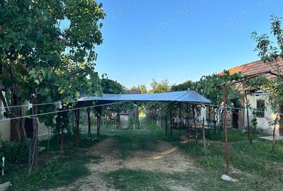 Vand casa batranesca + 1000mp teren intravilan, com. Dragutesti, sat Urechesti - 5