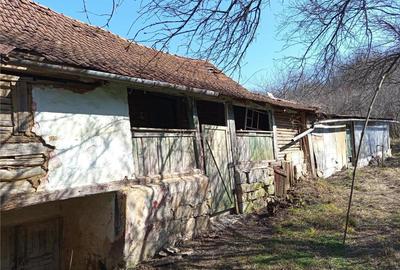 Casă cu 2 camere cu Teren 1439 Mp în Brădișoru de Jos - 6