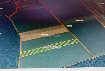 Spațiu comercial, în Creața