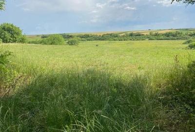 Spațiu comercial, în Miersig - 4