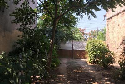 Casă cu 3 camere în Comloșu Mare - 5