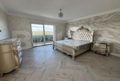 Casa cu etaj + demisol, 180 mp utili, 300 mp teren, zona Burdujeni - 12