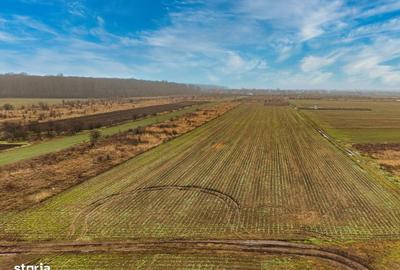 Spațiu comercial, în Săbăreni