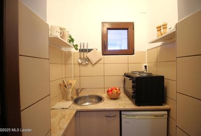 Ultracental - Str. Roma, Garsoniera 25 mp utili, gata de mutat! Ultracental - Str. Roma, Garsoniera 25 mp utili, gata de mutat! - 10