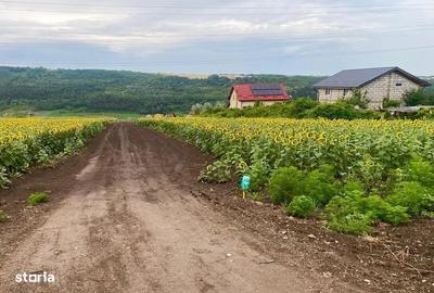 Spațiu comercial, în Valea Lupului