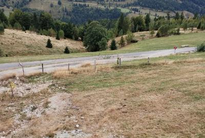 Casă cu Teren 30 Mp în Arieșeni - 5