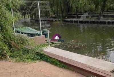 Teren în Snagov - 2