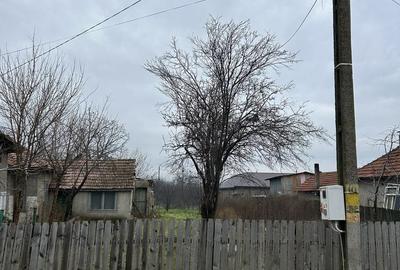 Teren de 1000 mp, în Țintești - 7