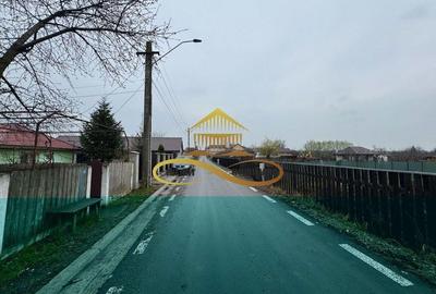 Teren de vanzare Filipesti Bacau 6838 mp - 4