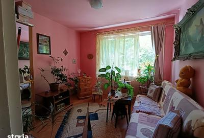 Apartament cu 3 camere semidecomandat în Săsar - 7
