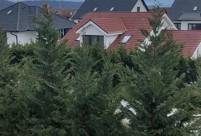 Apartament cu 3 camere decomandat în Șelimbăr - 12