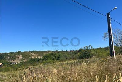 Teren de 4251 mp, în Dealuri Oradea - 2