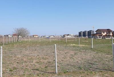 Veterani / 500 mp Veterani / 500 mp - 3