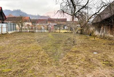 Casă cu Teren 780 Mp în Moșna - 3