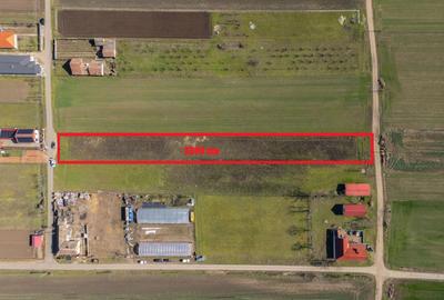 Teren Construcții intravilan de 3600 mp, în Sud-Est - 2