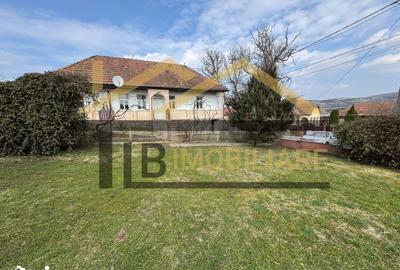 Casă cu 2 camere cu Teren 1192 Mp în Criș - 13
