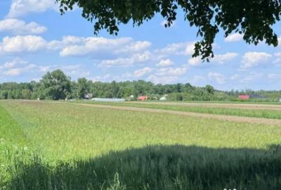 Teren de 4000 mp, în Frătăuții Vechi