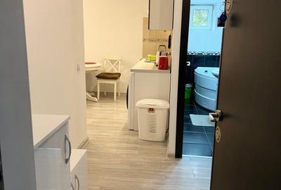 Apartament cu 2 camere semidecomandat, mobilat în Tineretului - 9