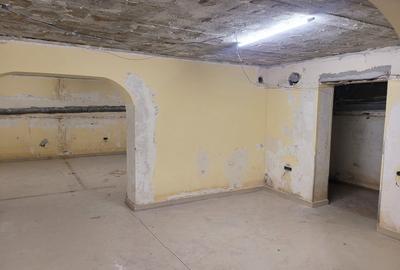 Casa de Cultura, demisol, spatiu comercial 3 camere, 112 mp. - 8