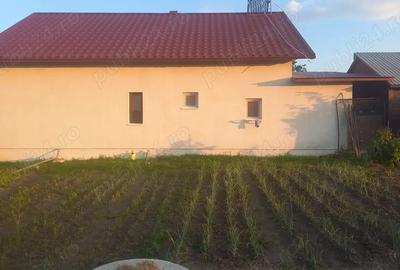 Casa de vanzare+ 67 de ari - 2