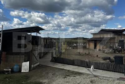 Casă cu 4 camere cu Teren 3018 Mp în Vest - 7
