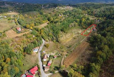 Teren de vanzare in comuna Poienarii de Arge?, sat Ioanice?ti, jude? Arge?. - 10