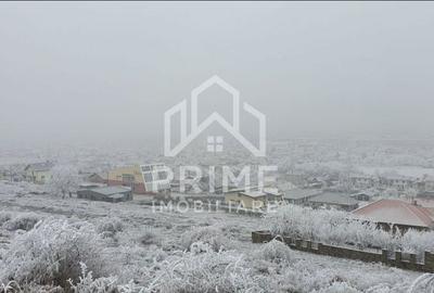 Teren de 1068 mp, în Cetate - 2