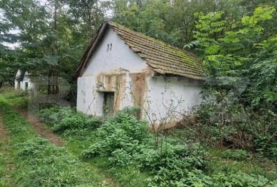 Teren de 79000 mp, în Central - 2