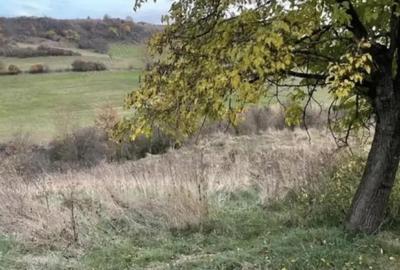 Teren de vanzare, 5800 mp, Sat Sanmarghita, jud. Cluj - 1