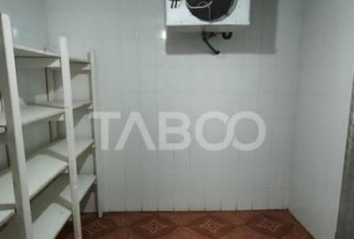 Spațiu comercial, de 670 mp, în Vințu de Jos - 4