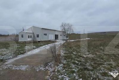 Spațiu comercial, de 180 mp, în Central - 10