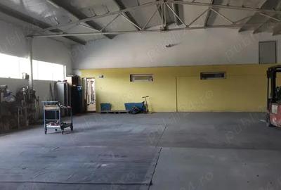 2 Hale cu birouri, vestiare, sala de mese si grupuri sanitare, teren 8868mp, E60, Tileagd BH, - 3