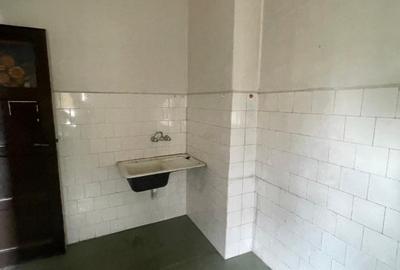 Villa Interblica - Parcul Carol Villa Interblica - Parcul Carol - 3