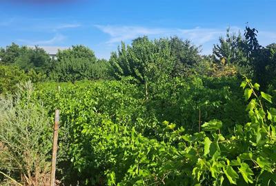 Casă individuală cu 4 camere cu Canalizare în Chiscani - 3