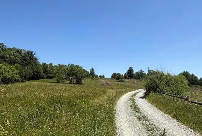 Teren de 1820 mp, în Rogojel - 9