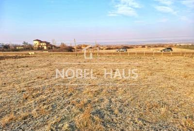 Teren de 1041 mp, în Grivița - 3