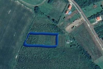 Teren de 6200 mp, în Ardud - 11